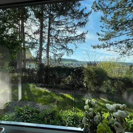 Gartenapartment Mit Ausblick Stadtnah Bad Mergentheim